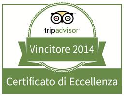 Emily Tripadvisor