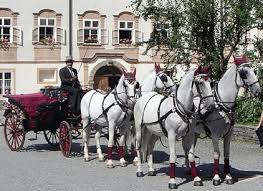 Entrenador de caballos en Viena