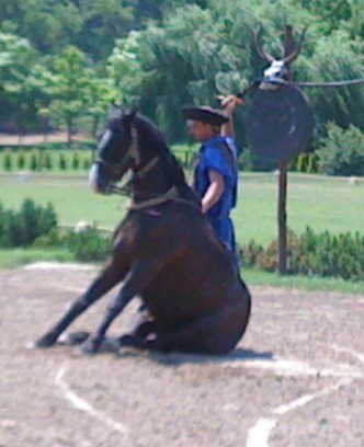 Cheval assis